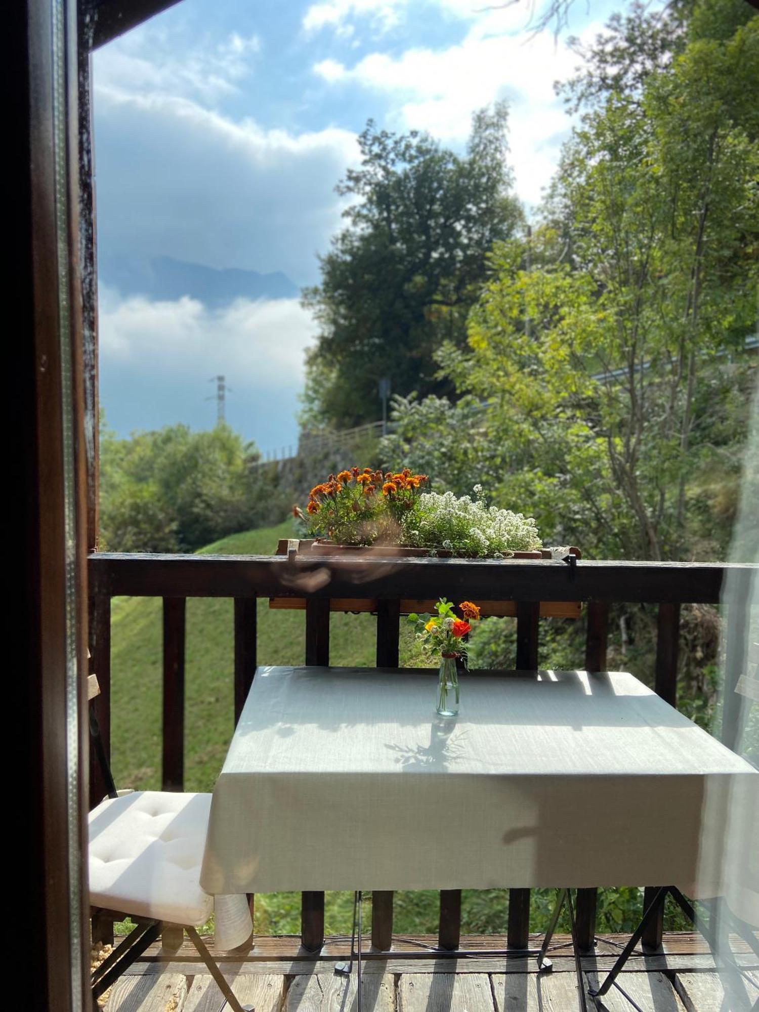 بارد B&B Marcellina المظهر الخارجي الصورة